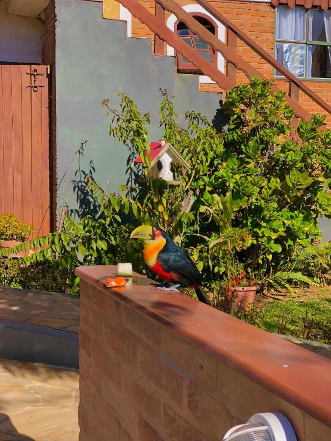 Pousada Palma Chales Monte Verde  Dış mekan fotoğraf